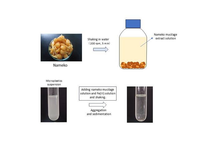 Use of Nameko Mucilage as a Natural Flocculant for Microplastics