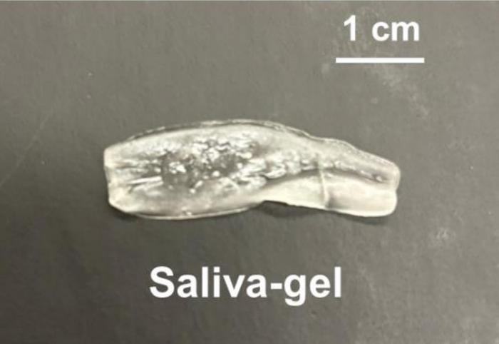 In-mouth hydrogel releases artificial saliva to treat dry mouth