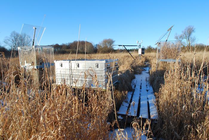 Measurements and modeling in Maglemosen, Denmark