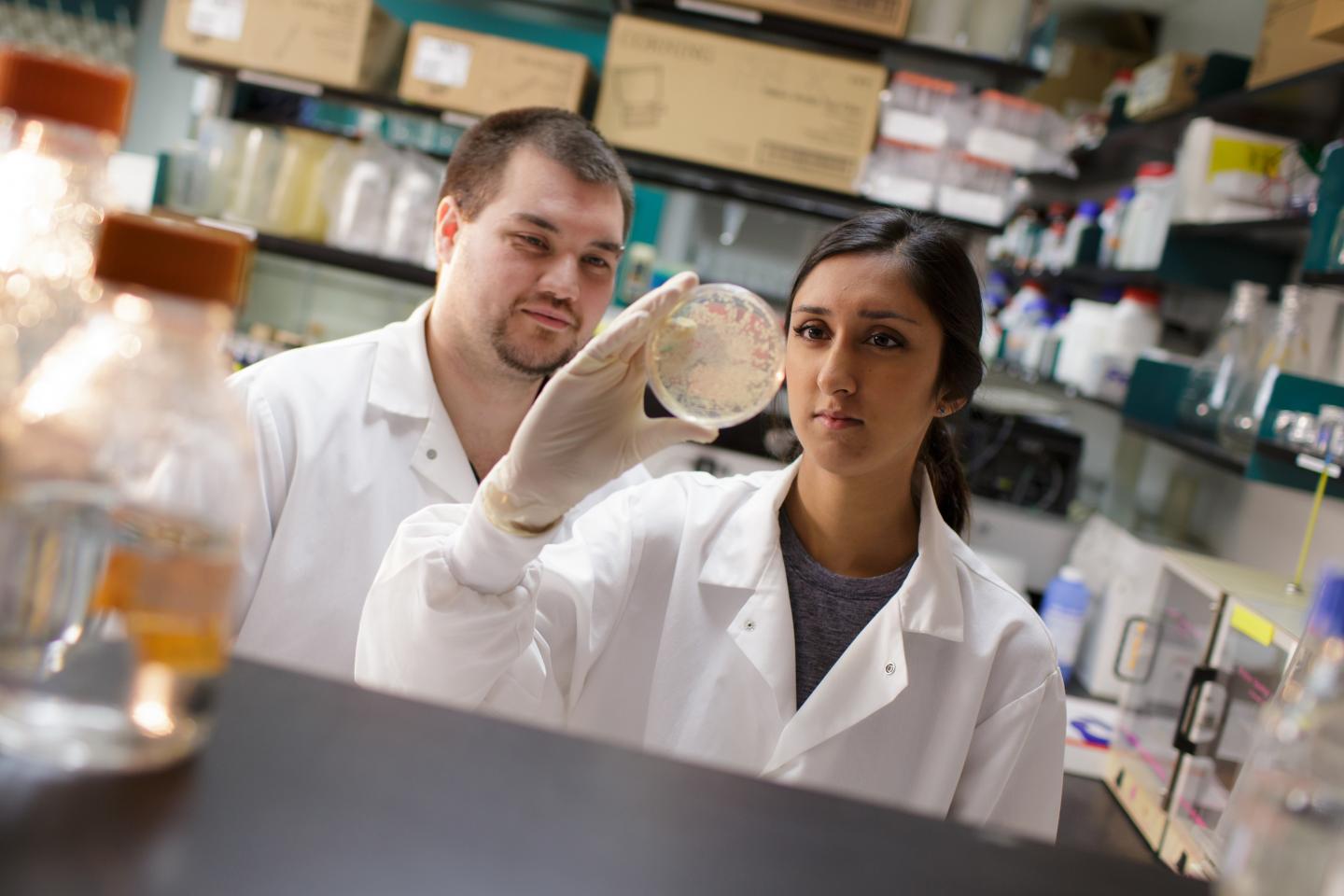 Brian Mahon and Avni Bhatt, University of Florida Health
