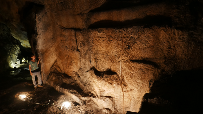 Where were Herod the Great's royal alabaster bathtubs quarried?