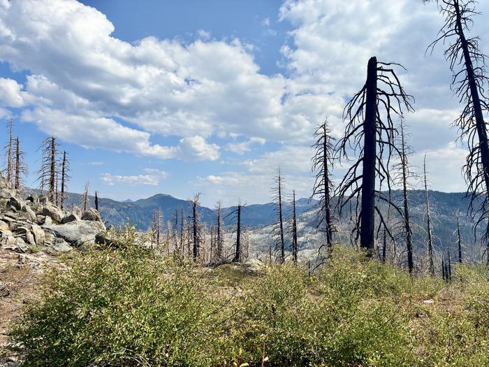 Caldor Fire burn scar, Tahoe 2