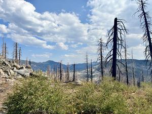Caldor Fire burn scar, Tahoe 2