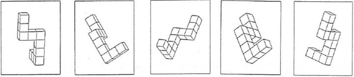 Visuospatial Exercise