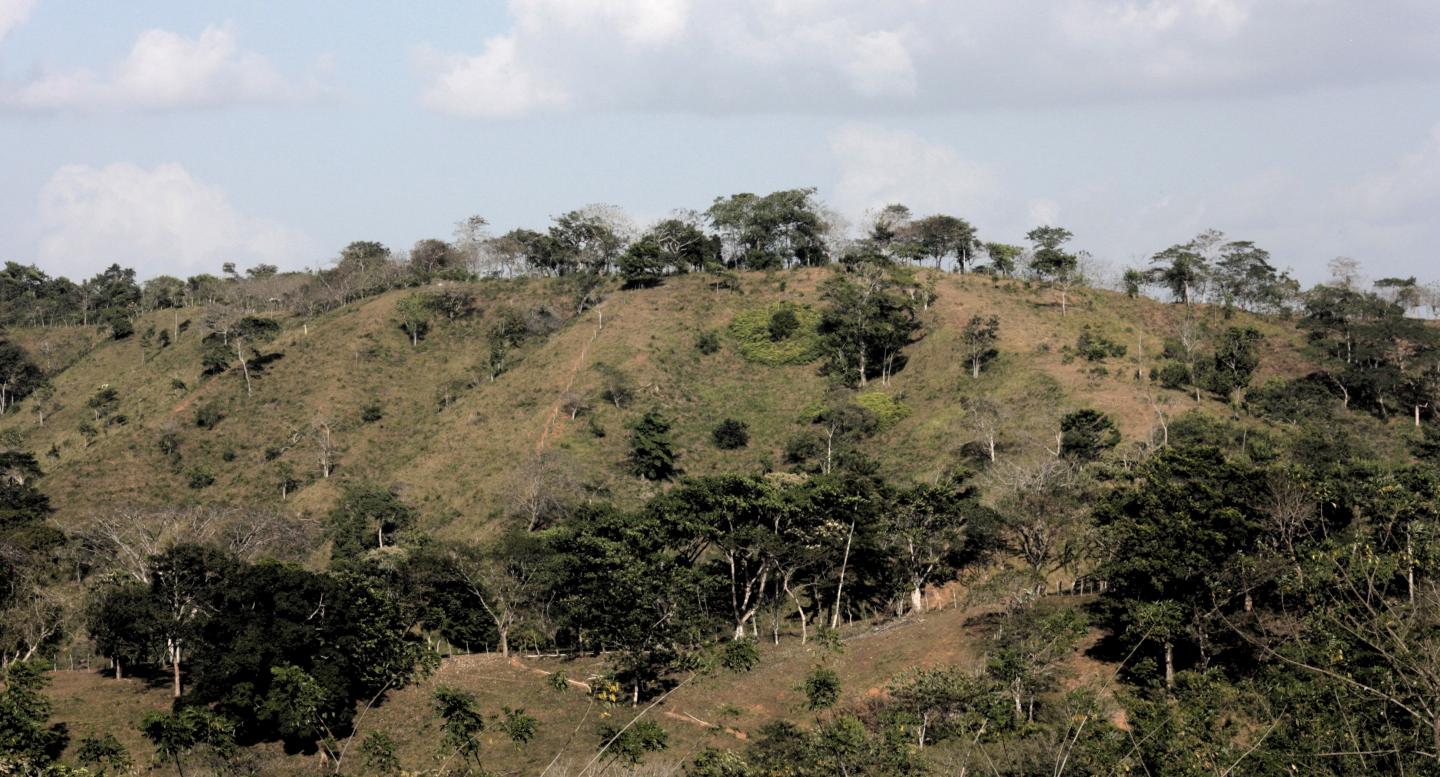 Landscape