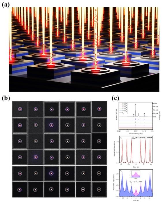 Figure | Scalable quantum photonic platform based on site-controlled quantum dots (SCQDs) integrated with circular Bragg grating (CBG) resonators.