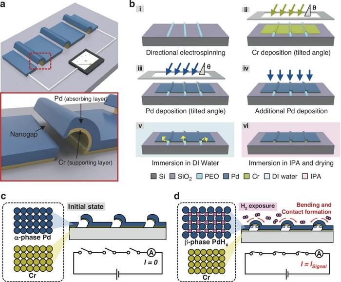 Structure, fabrication process, and switching mechanism of the Pd/Cr bimorph chemo-mechanical H2 switch.