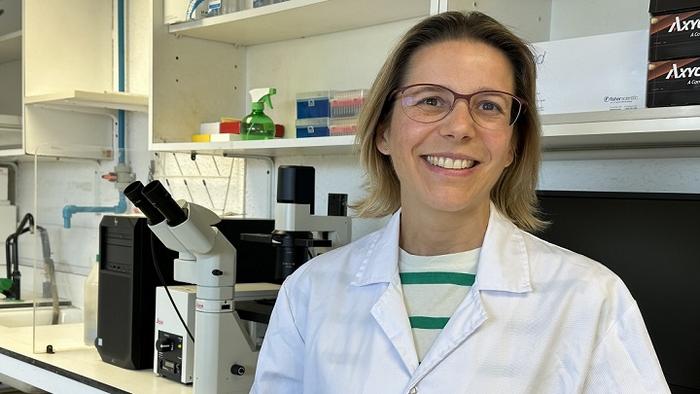 Researchers design an innovative strategy to fight obesity through gene therapy