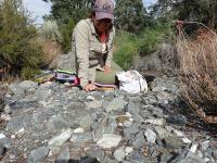 Deploying Data Loggers