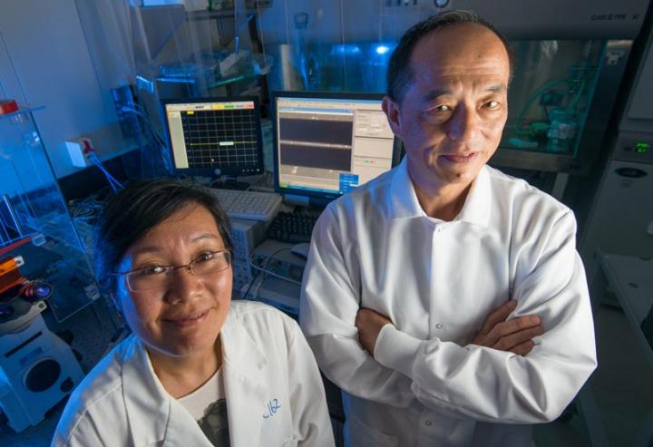 Penetrating a Cell's Nucleus for Better, More Accurate Cancer Screening