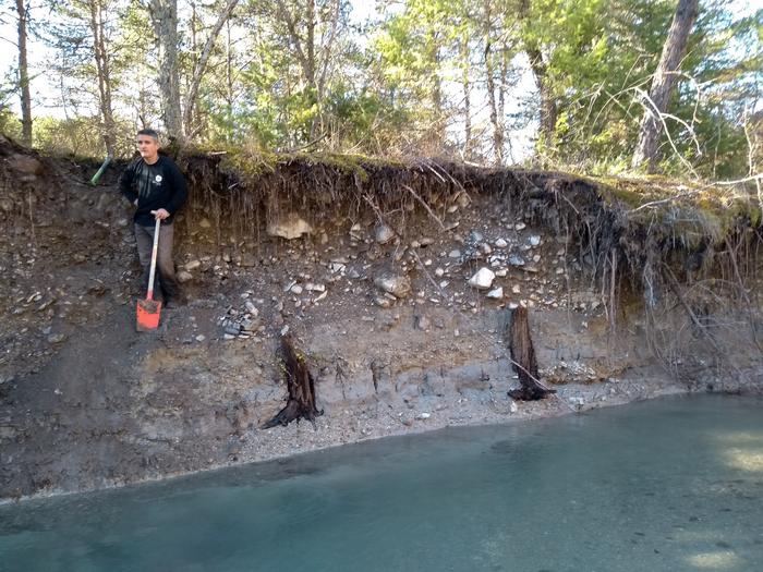 Subfossil trees in the banks of the Drouzet river
