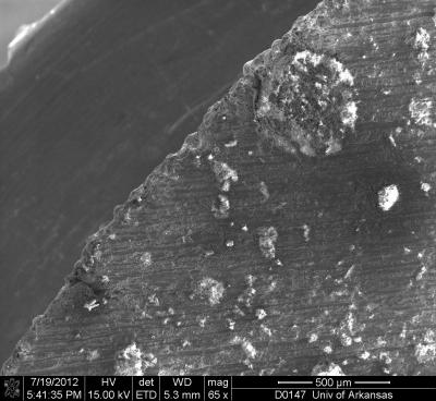 New Space Rock Is Rare Type of Meteorite (4 of 10)