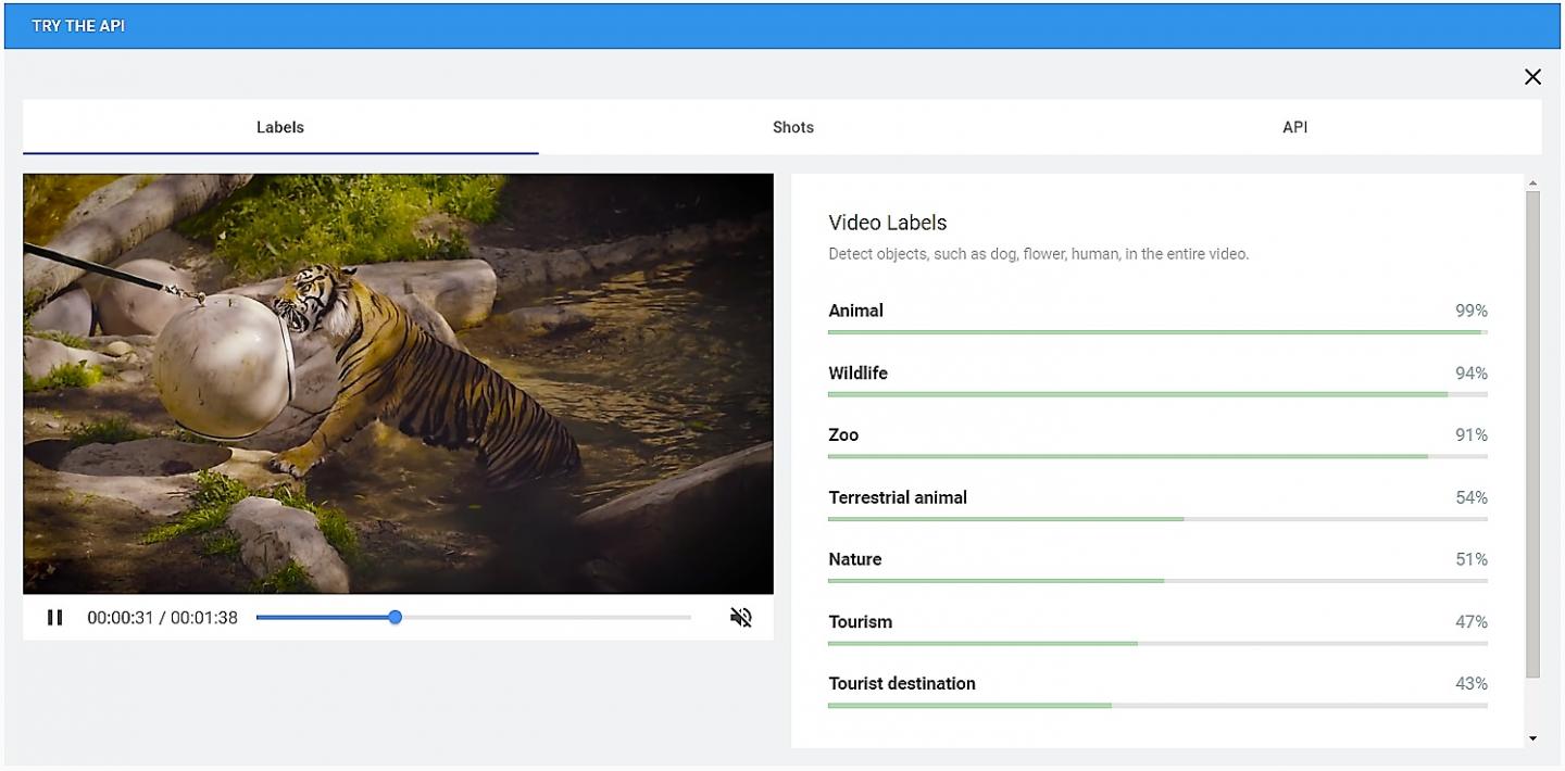 Google Video Intelligence API's Output