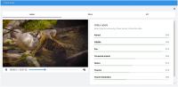 Google Video Intelligence API's Output