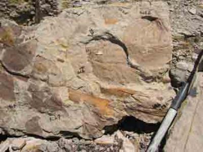 Rock Shovel
