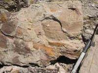 Rock Shovel