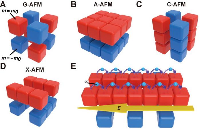New Class of "X-type" Antiferromagnets Enables Sublattice-selective Spin Transport