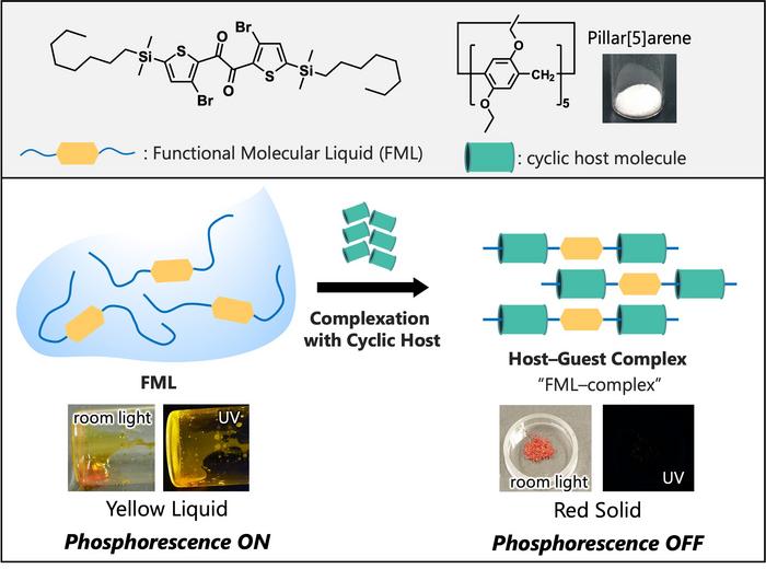 Functional molecular liquid host–guest complex formation