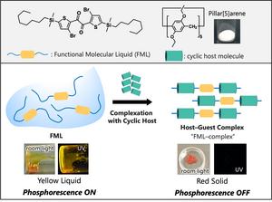 Functional molecular liquid host–guest complex formation