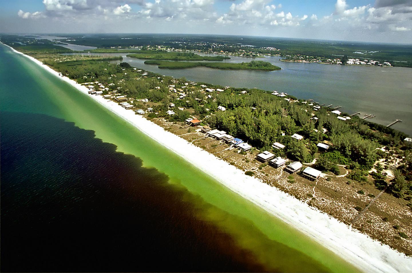 Red Tide