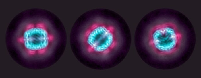 CryoEM Sandwiches
