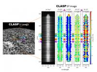 Figure 1: CLASP Observation