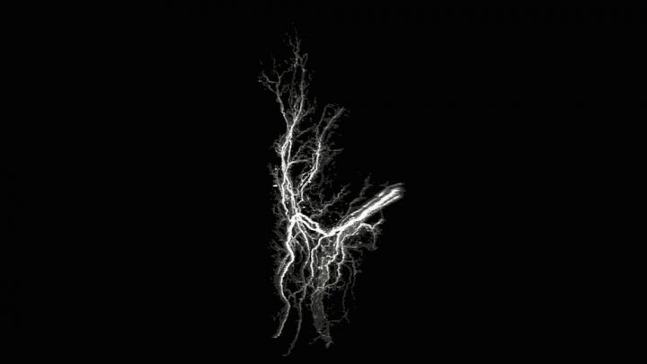 Imaging Fat Tissue