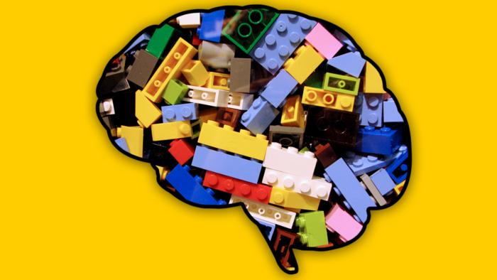 “Cognitive Legos” give biological brains the upper hand in learning compared to AI