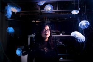 Nicole Xu lab photo - moon jellyfish