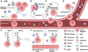 Overview of tumor-immune crosstalk inside the tumor microenvironment identified using microfluidic technology at the bulk-cell level in this review.