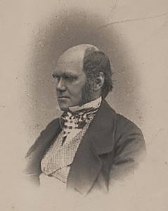 Rough draft of Darwin’s Origin of species goes online 1