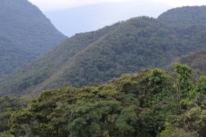 Low Andes