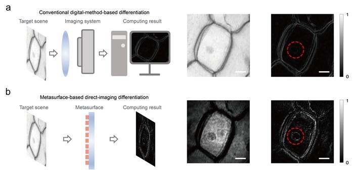 Figure 3 | Comparison with conventional digital image processing architecture.