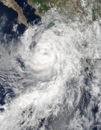 Terra Image of Newton