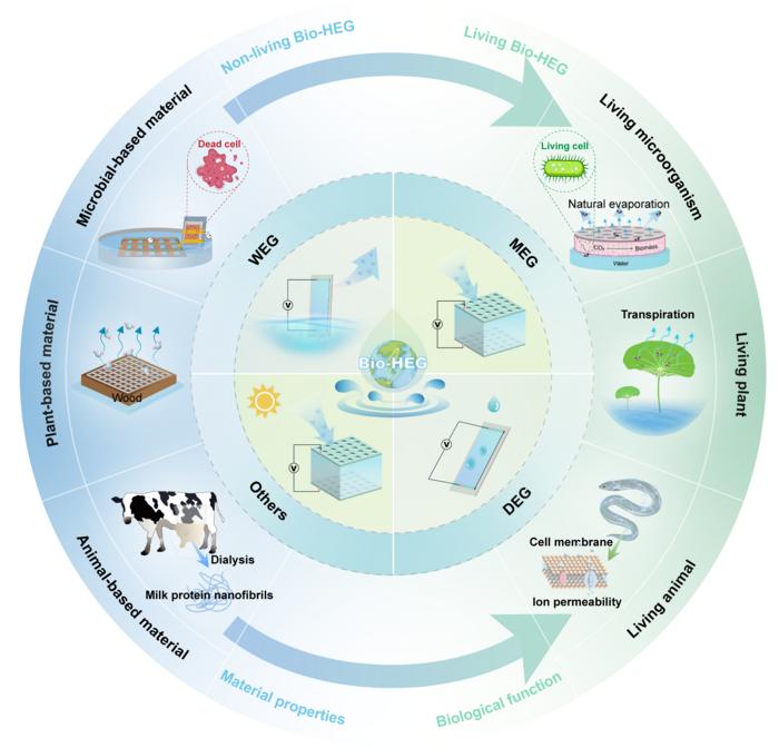生物基水伏技术的发展和分类