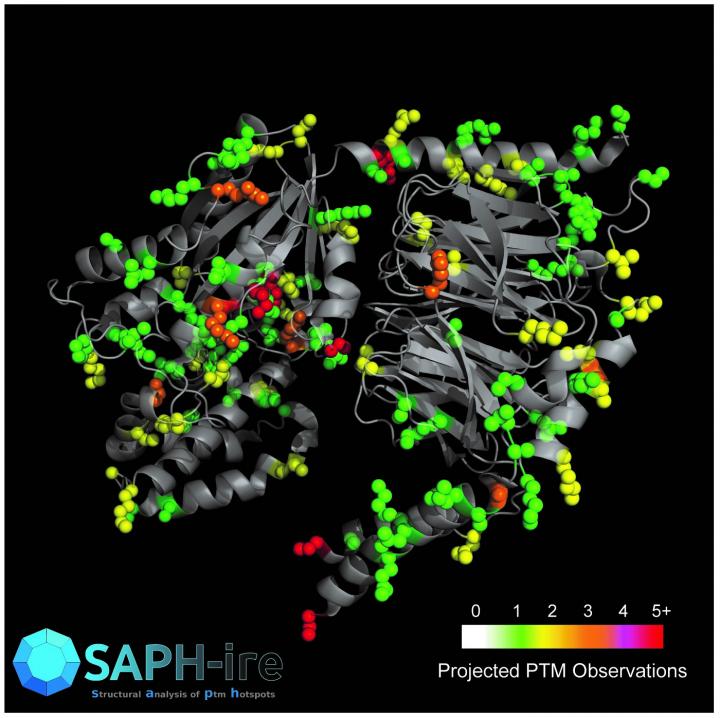SAPH-ire Diagram