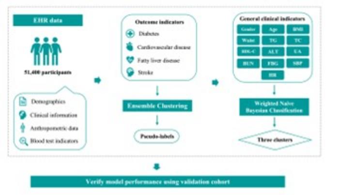 Overview of the data-driven clustering and classification framework for diabetes risk stratification