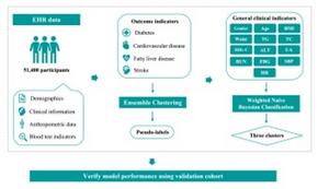 Overview of the data-driven clustering and classification framework for diabetes risk stratification