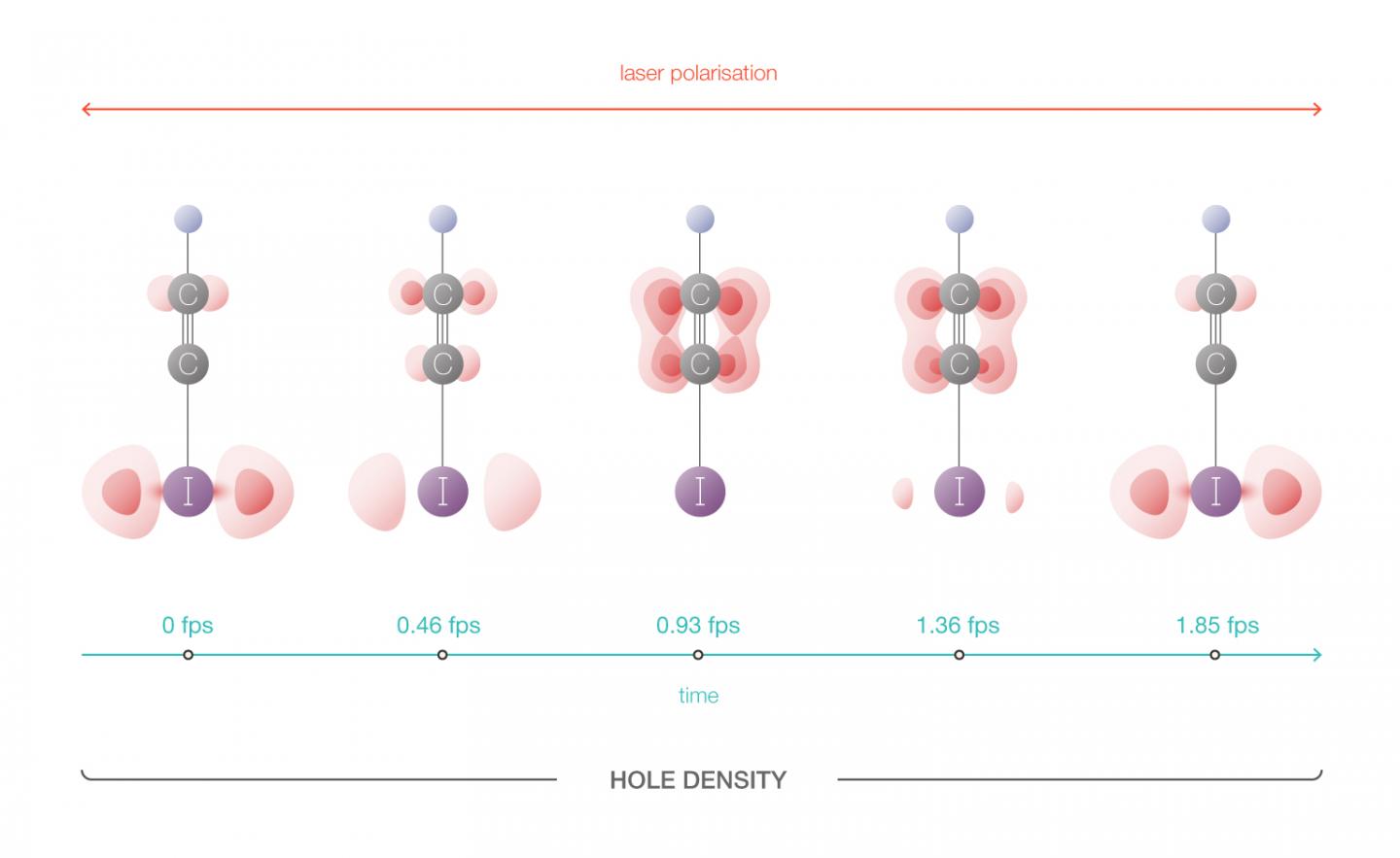 Hole Density