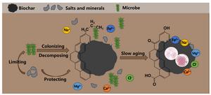 Increased soil salinization slows biochar aging and limits microbial colonization