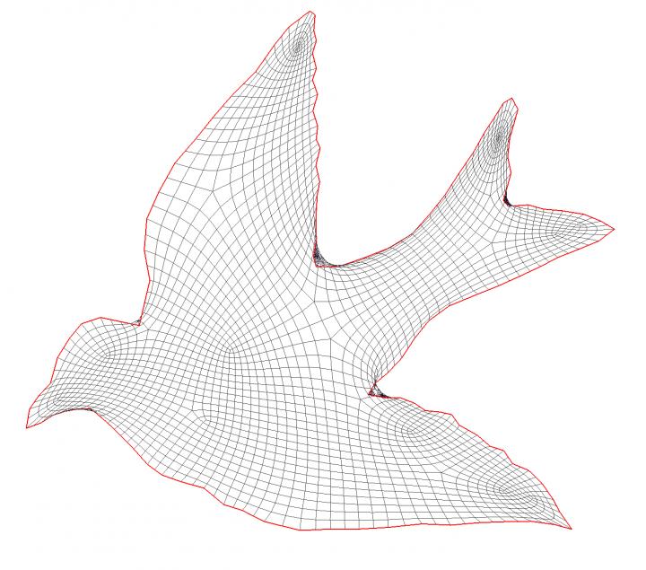 Bird Simulation Shows Tangled Mesh Problem