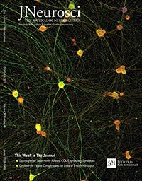 Oct. 5 JNeurosci Cover