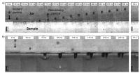 Image Sequence