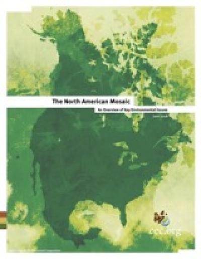 Cover of The North American Mosaic