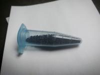 Seed Container