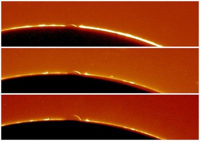 The Arc of Venus