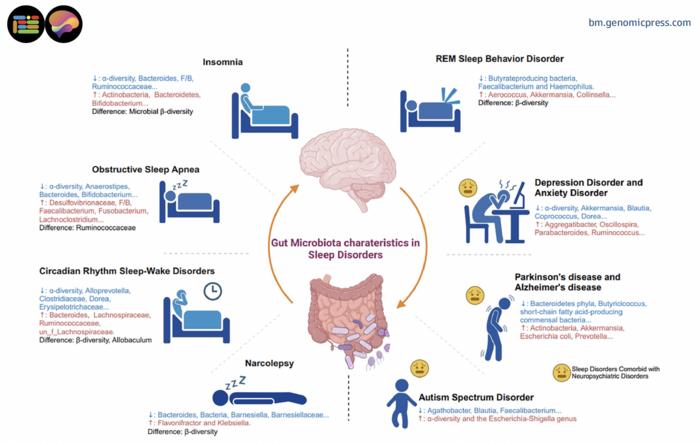 Gut microbiota characteristics in sleep disorders.