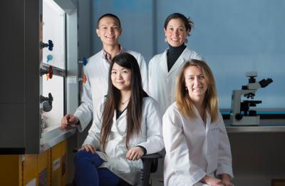 Brumme Lab