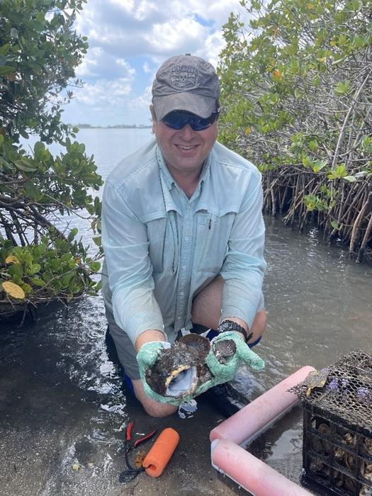 Giant Oyster Toadfish