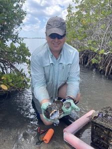 Giant Oyster Toadfish